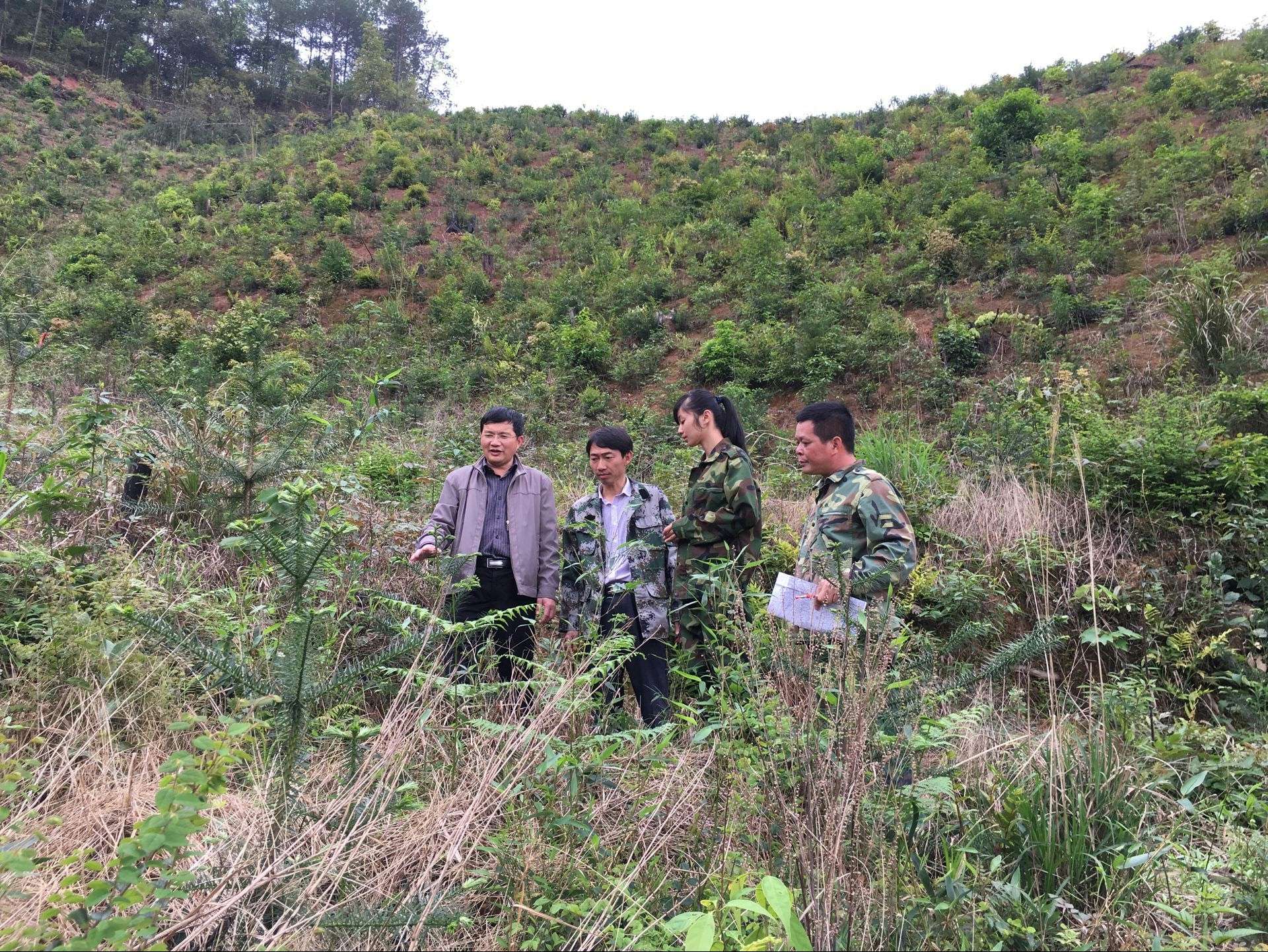 ţȮɽ�ֳ�Ϊ�����ˮƽɼľ���ֻ���Ƹ��ר�Ҽ�ʱ�����ֳ�ָ��