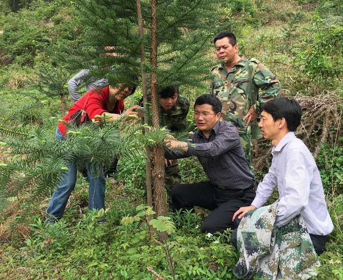 ͼΪŷ���������ΪţȮɽ�ֳ�ְ������ʾ���޽Ӽ����ֳ�