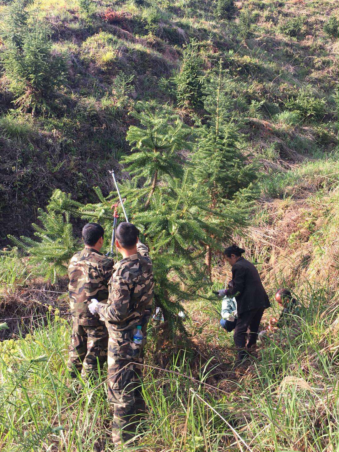 �û���ְ��������԰���ɼ����ʽ���